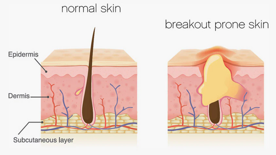 Image Title Skinade Targeted Solutions - Clear